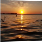 PVC Schuimplaat - Zonsondergang bij Kalm Meer - 80x80 cm Foto op PVC Schuimplaat (Met Ophangsysteem)