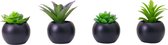 Atmosphera Kunstplant - Nepplant - Zwart - Set van 4 - Voor Binnen - Met Pot - Rond