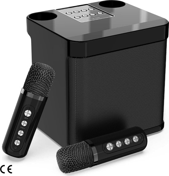 Set de karaoké Bluetooth professionnel avec 2 Microphones sans fil –  Machine de