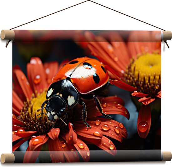 Textielposter - Bloemen - Druppels - Rood - Lieveheersbeestje - 40x30 cm Foto op Textiel