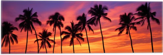 Vlag - Silhouet van Hoge Smalle Palmbomen bij Feloranje Zonsondergang - 60x20 cm Foto op Polyester Vlag