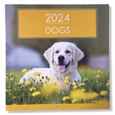 Calendrier mensuel Chiens 2024 - 28x28,5 cm - Calendrier pour chiens - Calendrier de couverture