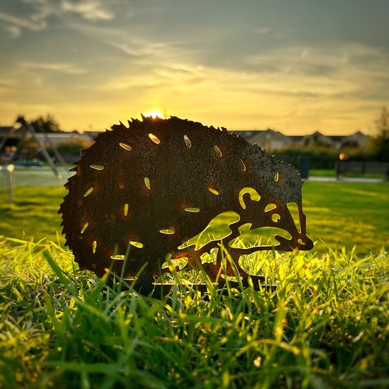Roestbruine metalen egel decoratie in gras bij zonsondergang.