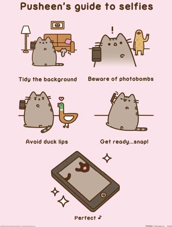 Pusheen Guide to Selfies Art Print 30x40cm | Poster | bol.com