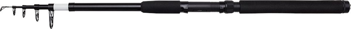 DAM Base-X Tele Spin Telescopische spinhengel 300cm 30-60g | Spinhengel
