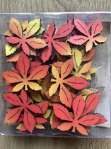 Herfst decoraties bladeren