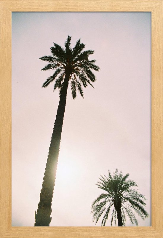JUNIQE - Poster in houten lijst Palm Trees -40x60 /Roze