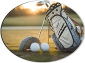 Dibond Ovaal - Golf - Golfbal - Sport - Hobby - Tas - Gras - 40x30 cm Foto op Ovaal (Met Ophangsysteem)