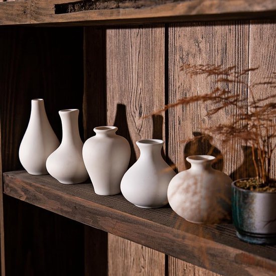 petit vase en céramique blanche ensemble de 5, vases décoratifs pour fleurs  avec un... | bol
