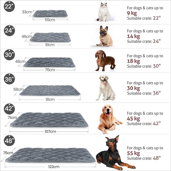 Ontdek de Beste Kattenmanden Voor Jouw Kat