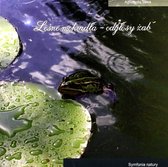 Leśne Mokradła - Odgłosy Żab [CD]