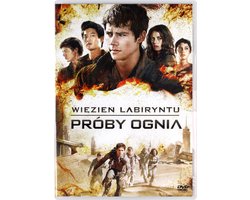 Maze Runner: The Scorch Trials [DVD]