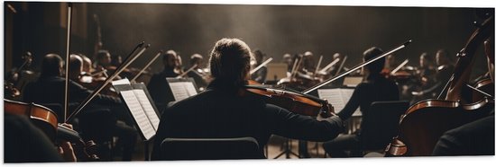 Vlag - Mensen - Muziek - Instrumenten - Orkest - 120x40 cm Foto op Polyester Vlag