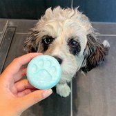 Shampoo Bar Honden