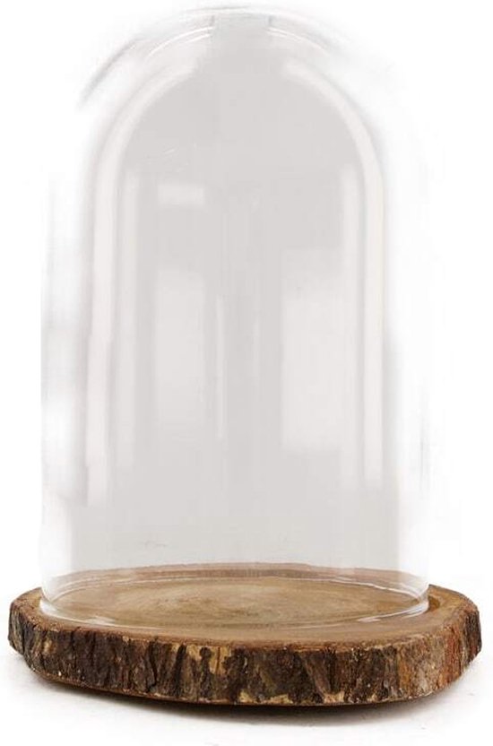 Dijk Natural Collections stolp - glas - houten bruin boomschijf plateau - D18 x H26 cm