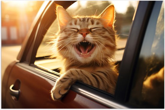 Poster (Mat) - Dier - Kat - Auto - Lachen - Tanden - 150x100 cm Foto op Posterpapier met een Matte look