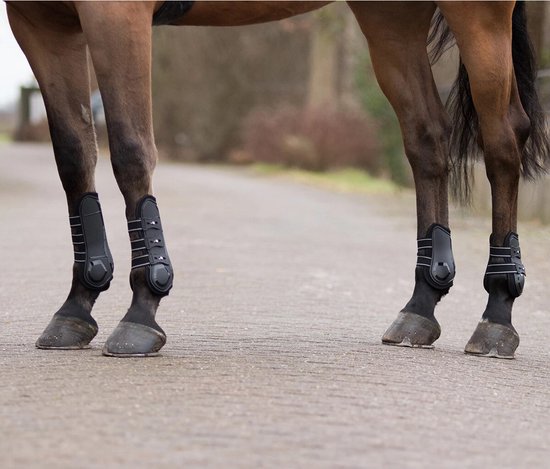 Zwarte peesbeschermers met witte bandjes, gedragen op de voorpoten van een bruin paard.