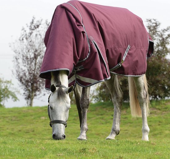 Couverture Cheval Weatherbeeta Comfitec Plus Dynamic 2 - Taille 4'9" (220g) Bleue - Neuf