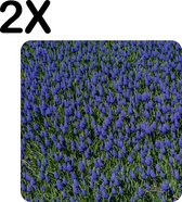 BWK Flexibele Placemat - Blauw Paarse Bloemen - Set van 2 Placemats - 50x50 cm - PVC Doek - Afneembaar