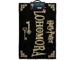 Wizarding World - Harry Potter - Tapis de porte Alohomora 60x40cm