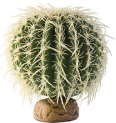 Exo terra désert plante baril cactus