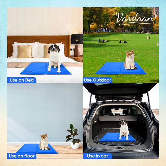 Collage met vier afbeeldingen: honden en katten op blauwe koelmatten op een bed, buiten, op de vloer en in een auto.