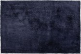 EVREN - Shaggy vloerkleed - Blauw - 200 x 300 cm - Polyester