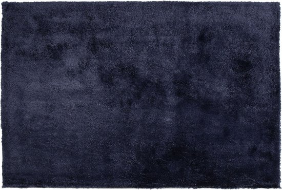 EVREN - Shaggy vloerkleed - Blauw - 200 x 300 cm - Polyester