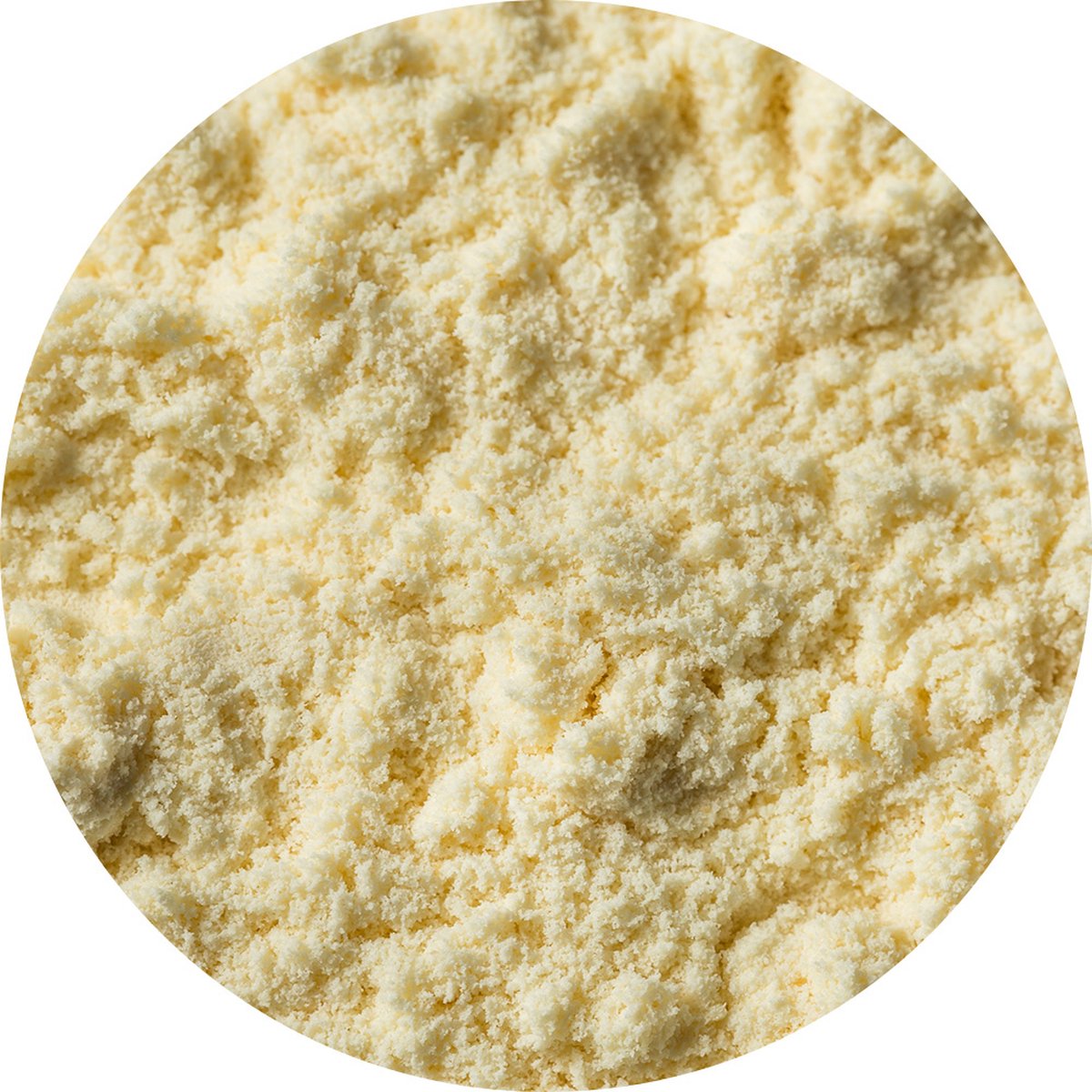 Goedkoopste Van Beekum Specerijen - Whey Protein Vanille - 15 KG - Zak (bulk verpakking