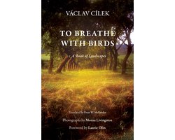 To Breathe with Birds