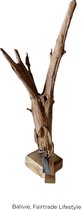 Balivie - Decoratief beeld of figuur - Wortel Van Teakhout Op Standaard - 60 a. 70 cm
