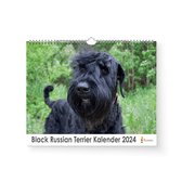 Kalender 2024 - Black Russian Terrier - 35x24cm - 300gms - Spiraalgebonden - Inclusief ophanghaak