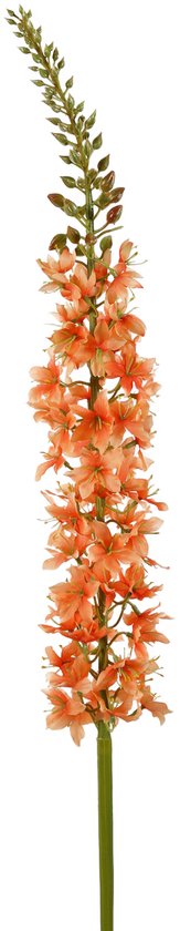 Viv! Home Luxuries Eremurus - zijden bloem - oranje - 94cm