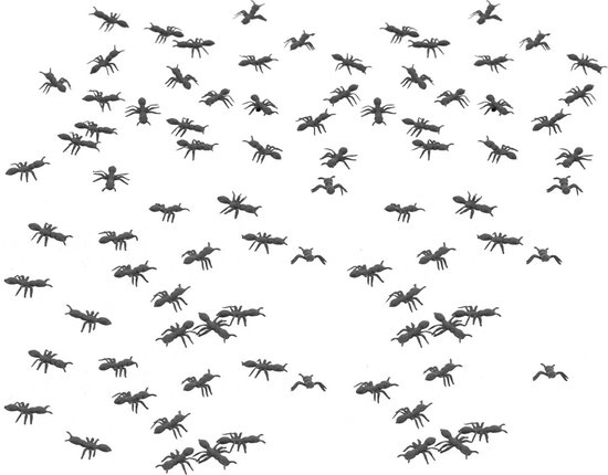 Chaks fausses fourmis - 2 cm - noir - 200x - insectes de décoration horreur/fluage