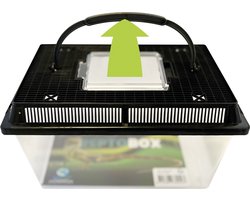 Repto Box 27x17x16 cm - Transport bak Reptielen