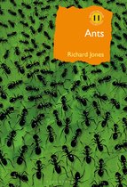 British Wildlife Collection- Ants