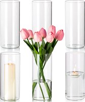 Cilindervaas glazen set van 6 bloemenvazen, 20 cm moderne vazenset, glazen vaas, decoratieve vazen, kaarsenhouder, theelichthouder, glas voor stompkaarsen, theelichtjes, drijvende kaarsen voor