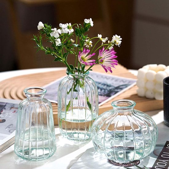 Vases lot de 3 petits vases à fleurs en verre transparent, mini vases  bouteilles en... | bol
