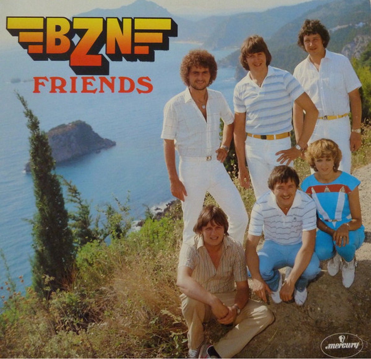 Friends (LP)