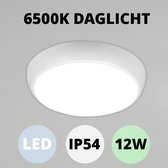 LED Whitelabel NESO - LED Plafonnière - IP54 - 12W 6500K - Rond - Wit licht - Plafondlamp badkamer/slaapkamer - Woonkamer lamp