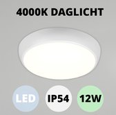 Plafondlamp Neso Ø32cm 12W 4000K IP54