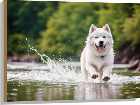 Hout - Dier - Hond - Wit - Water - Rennen - 80x60 cm - 9 mm dik - Foto op Hout (Met Ophangsysteem)