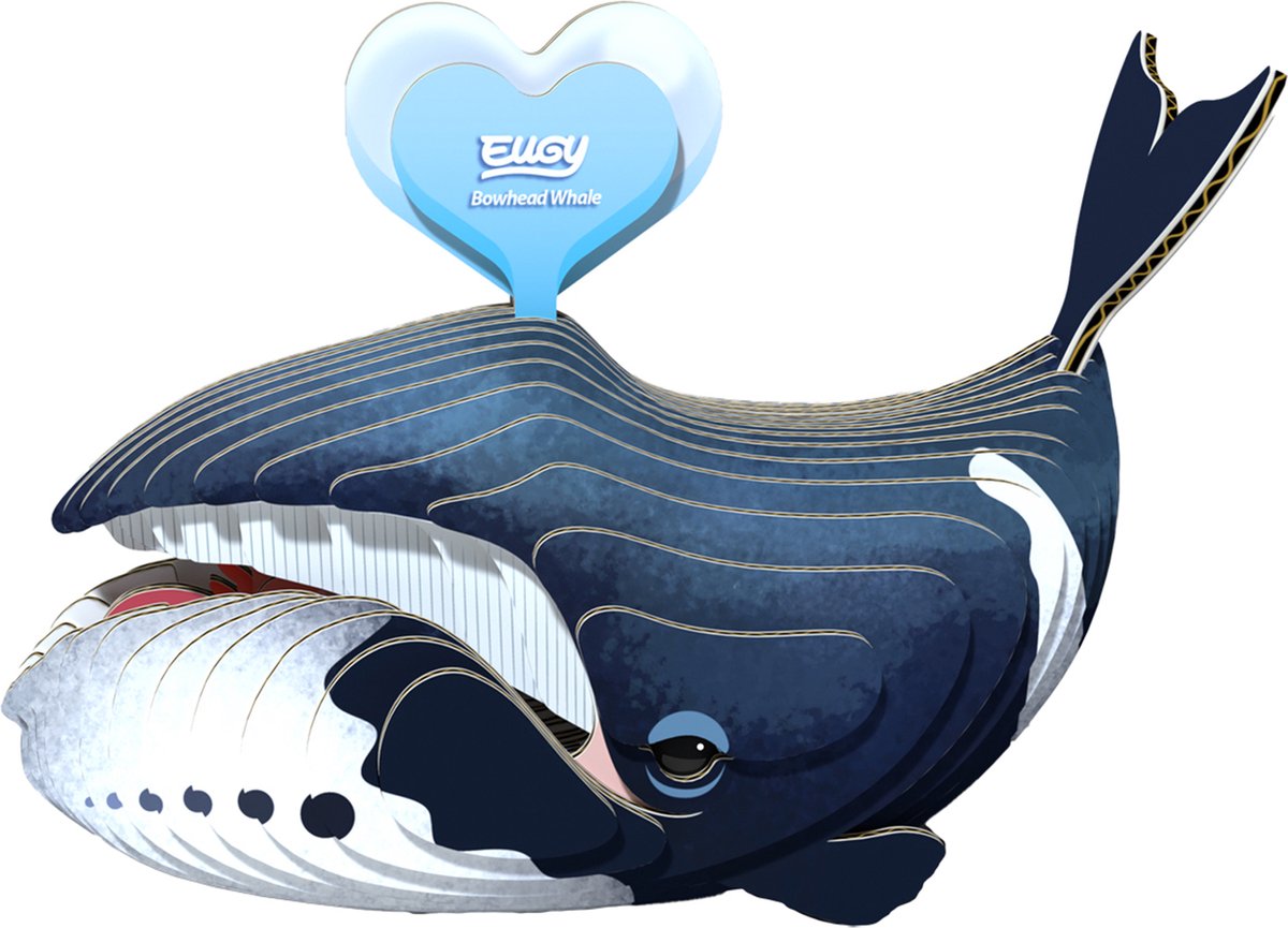 EUGY 3D Puzzel - Groenlandse Walvis - Zeedieren - Duurzaam - Verzamel Ze Allemaal - 6 Jaar
