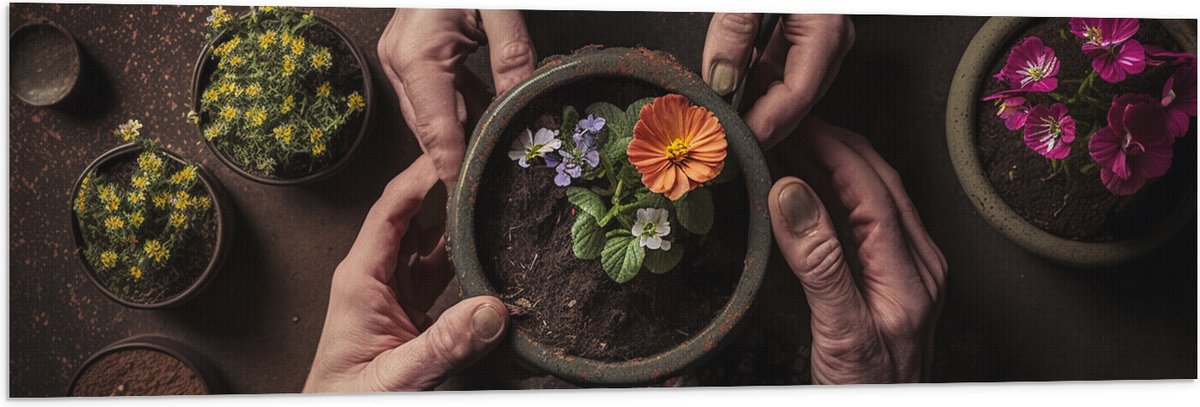 Vlag - Bloemen - Bloempot - Potgrond - Handen - 120x40 cm Foto op Polyester Vlag