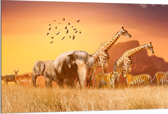Dibond - De Dieren van het Afrikaanse Landschap - 120x80 cm Foto op Aluminium (Met Ophangsysteem)