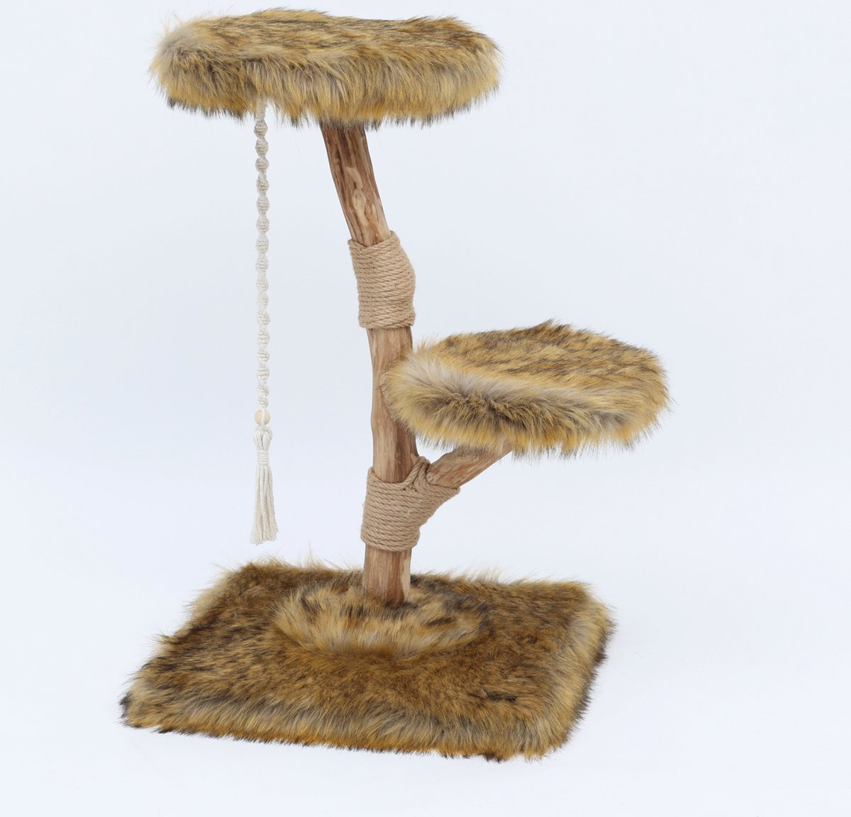 Boony Est 1941 Klimboom Prunus Grizzly Bruin 85 cm