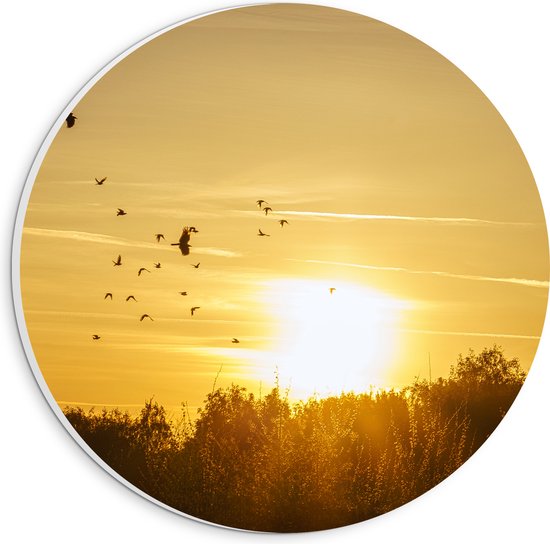 PVC Schuimplaat Muurcirkel - Zwerm Vogels Vliegend boven de Bomen tijdens de Mooie Zonsondergang - 20x20 cm Foto op Muurcirkel (met ophangsysteem)