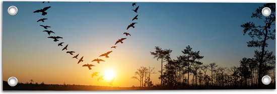 Tuinposter – Zwerm Vogels Vliegend in Hartvorm boven het Water - 60x20 cm Foto op Tuinposter (wanddecoratie voor buiten en binnen)
