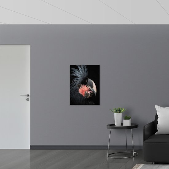 Dibond - Zwartkleurige Kaketoe Vogel tegen Zwarte Achtergrond - 60x80 cm Foto op Aluminium (Wanddecoratie van metaal)
