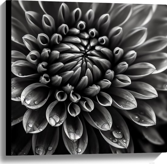 Canvas - Zwart-wit Dahlie Bloem met Waterdruppels erop - 60x60 cm Foto op Canvas Schilderij (Wanddecoratie op Canvas)